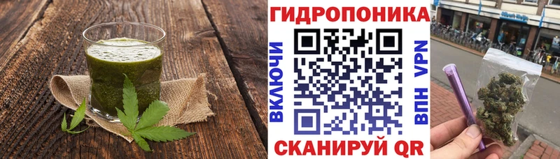 Canna-Cookies конопля Зея