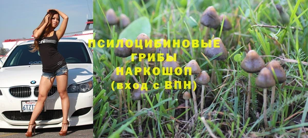 бутират Алексеевка