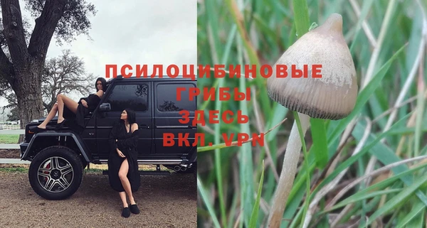 бутират Алексеевка