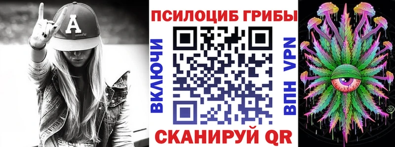 Псилоцибиновые грибы Psilocybe Зея